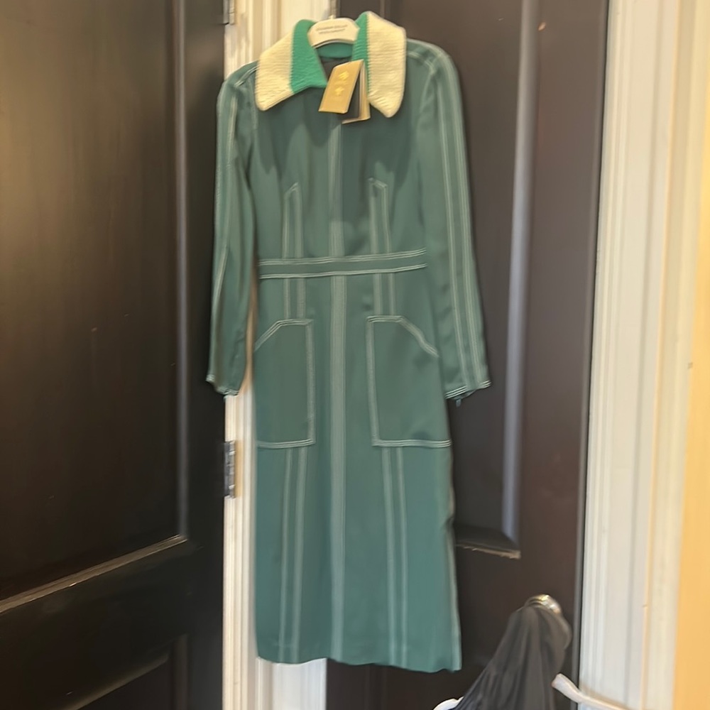 Collectors burberry prorsum dress - original price $3000 -